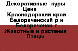 Декоративные  куры › Цена ­ 350 - Краснодарский край, Белореченский р-н, Белореченск г. Животные и растения » Птицы   
